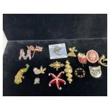 Costume Jewelry Pins and Brooches