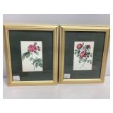10x12 Framed Botanical Rose Prints
