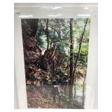 John Paul Strain Print 'The Cliffs of Loudoun Heig