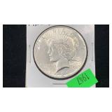 1923 Silver Peace Dollar