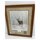 Framed Deer Print with Collector's Coins and Stamp