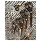 Group of scissors