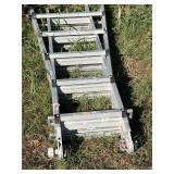 Expandable ladder