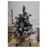 Christmas Trees (84)