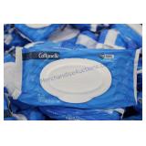 42ct Wet Wipes (2000)