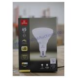 Light Bulbs (540)