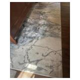 Area Rug (needs cleaning)