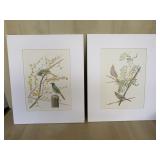 Matted Bird Prints