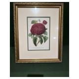 Framed Floral Print