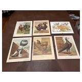 Framed Bird Prints
