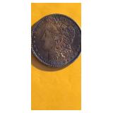 1883 Silver Dollar-beautiful Toning