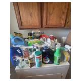 Misc cleaning, laundry detergent, bag spray,