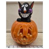 Cat in Jack-o-Lantern