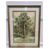 Framed Watercolor Tree