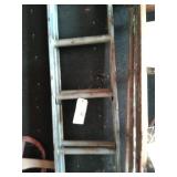 14' Extension Ladder