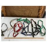 7 halters