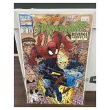 MC Ghost Rider side by side w/Spider-Man #18