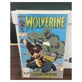 Marvel,  Wolverine #14