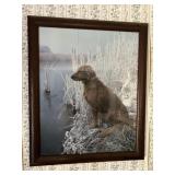 Dog Picture, 18 1/2 x 22 1/2