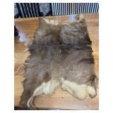 Deer Skin, approx 45 x 27