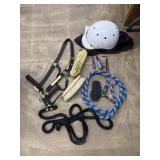 Horse Halter, 2 horse leads, brushes & hoof pics