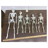 5 Poseable skeletons, 15 - 24 tall