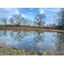 118 Unrestricted Acres with a pond and a flowing branch. 2000' of road frontage