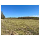 62 +/- Acres Farm on Holland Road 