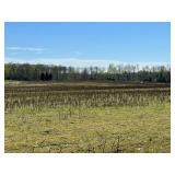 May 6, 2023, at 10:00 AM