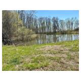 Creek, pond, white oak 