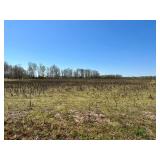 62 +/- acres (10 tracts) on Holland Road in West Limestone