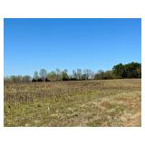 A mix of tillable acreage and timber