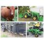 FARM AUCTION