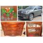 EMERGENCY SHORT NOTICE COMPLETE ESTATE AUCTION