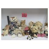 Primitive Mop Cat, Rag Doll & More