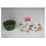 Nice Sea Shell Lot