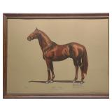 Harold Barnett Signed Man O War Race Horse Print Harold Barnett Signed Man O War Race Horse Print