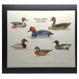 Multi Carver Signed Ward Bros Decoys Duck Print Multi Carver Signed Ward Bros Decoys Duck Print