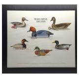 Multi Carver Signed Ward Bros Decoys Duck Print