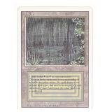 Magic The Gathering Bayou Revised Edition Card