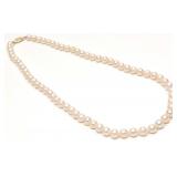 14K Gold 6.5mm Pearl Beaded Necklace (18'L)