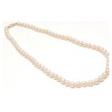 14K Gold 6.5mm Pearl Beaded Necklace (18'L)