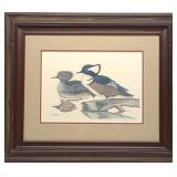 Larry Tawes Jr Signed Merganser Duck Art Print