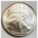 2004 U.S. AMERICAN SILVER EAGLE COIN