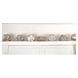 LOT OF SEA SHELLS - BEACH FINDINGS