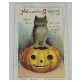 Antique Halloween Embossed Post Card Owl & Jack