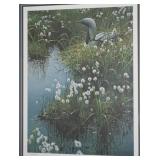 Robert Bateman Signed Arctic Loon & Cotton Grass