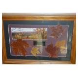Framed "One Fine Day in MN Sept 97" Leaves &