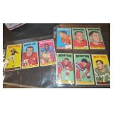 (9) 1965 Topps Football Cards