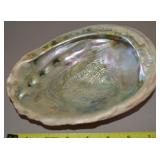 Natural Large Iridescent Abalone Shell